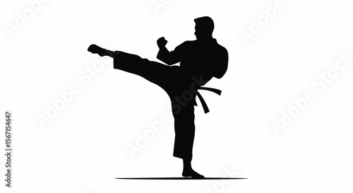Karate Martial Arts High Kick Silhouette Vector Illustration