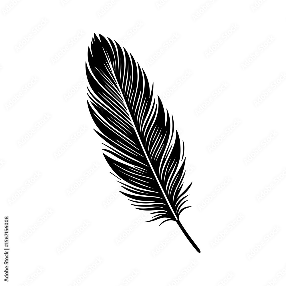 Fototapeta premium A single, stylized black feather, detailed lines, isolated on white background.