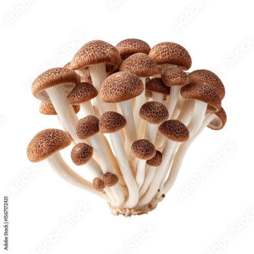 A cluster of brown mushrooms with white stems, a fresh and organic ingredient