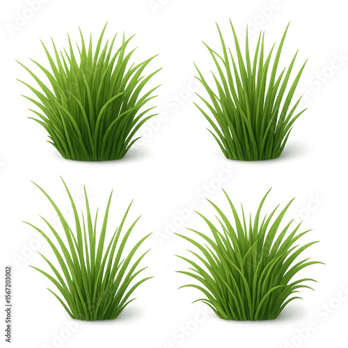 Isolate transparent A collection of vibrant green grass clumps, ideal for landscaping and nature themes. PNG