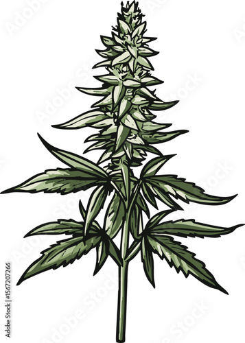 full-shot of a Klip Dagga icon The background