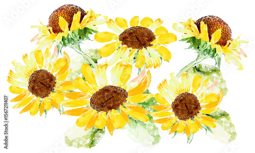 水彩で描いたひまわりの花のイラスト