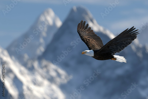 Flying eagle front with snow capped mountains in the background