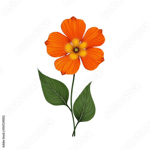 Wallpaper Mural Vibrant orange flower with green leaves transparent background Torontodigital.ca