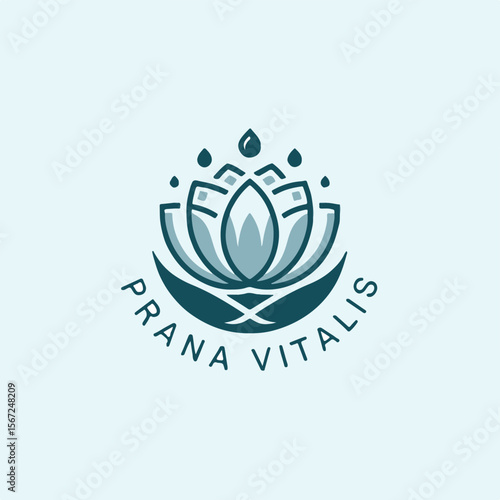 Adobe Illustrator Logo Design