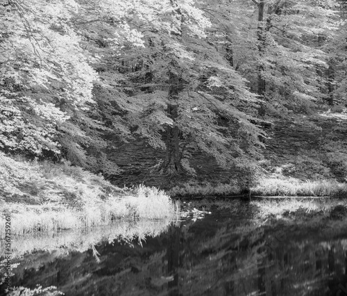 Infrared of Lake