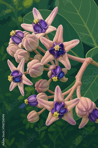 The image showcases a close-up view of a Crown Flower (Calotropis gigantea), commonly known in Thai as "Dok Rak." The flowers have soft, pale pinkish-purple petals forming star-shaped blooms, with a s