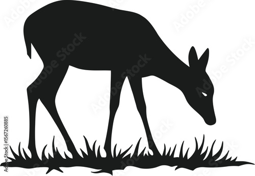 Young fawn silhouette grazing in grassland