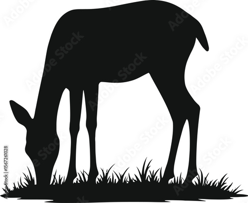 Silhouette of a deer grazing in grassland