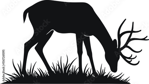Majestic deer silhouette grazing in tall grass
