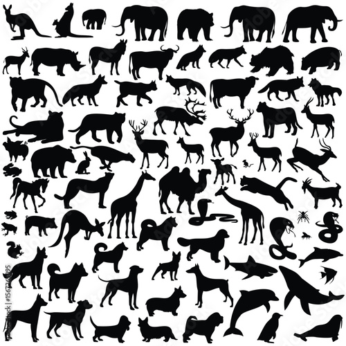 Silhouette assemblage of diverse animals including mammals reptiles fish and insects