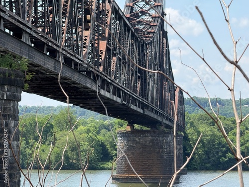 bridge over the river