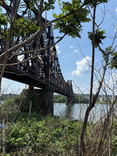 bridge over the river