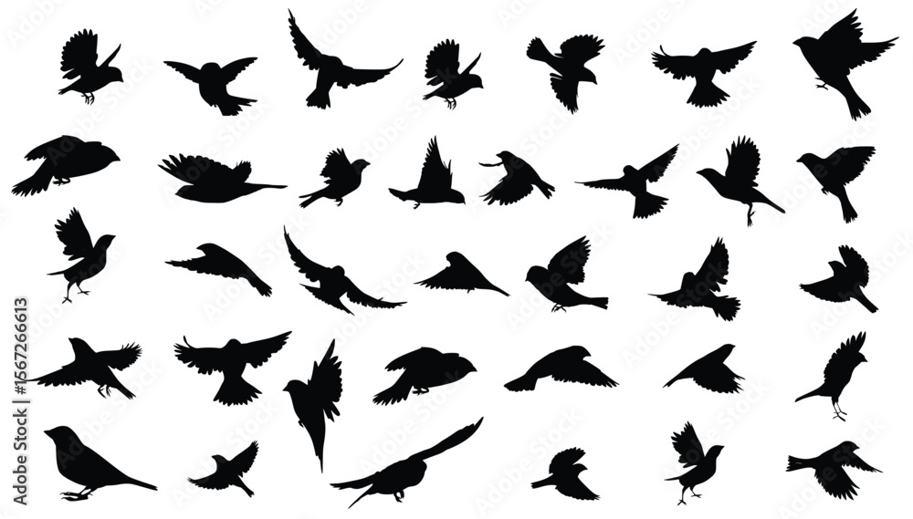 Silhouettes of thirtysix birds in flight in various positions Silhouettes of thirtysix birds in flight in various positions