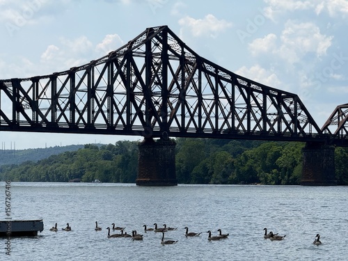 bridge over the river