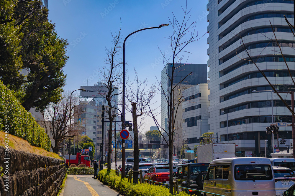 Obraz premium 大都市イメージ(東京)