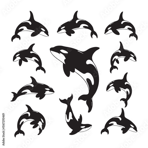 Collection of stylized black and white killer whale orcas in various dynamic poses