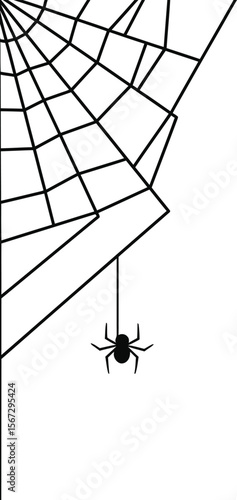 A spider hangs patiently on its intricately woven web, a geometric masterpiece of nature's design.