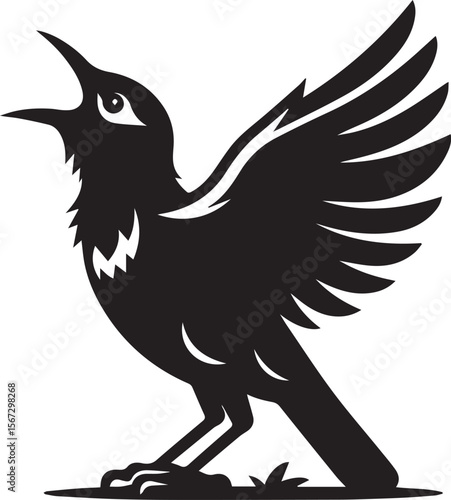 Vector bird myna silhouette illustration