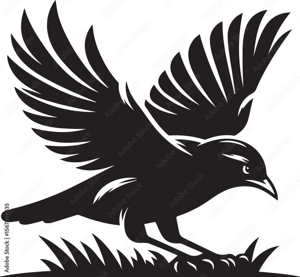 Fototapeta premium Vector bird myna silhouette illustration