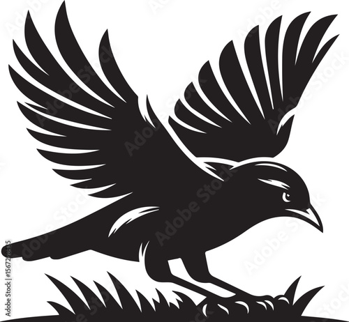 Vector bird myna silhouette illustration