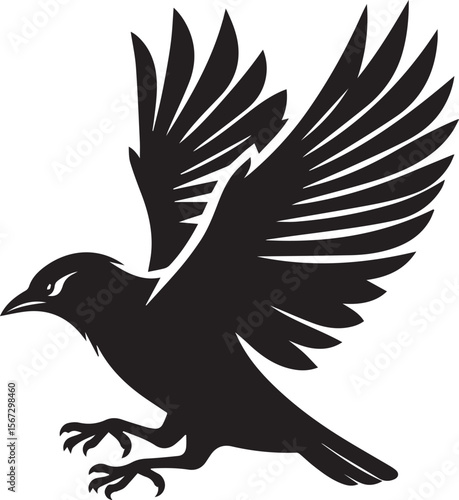 Vector bird myna silhouette illustration