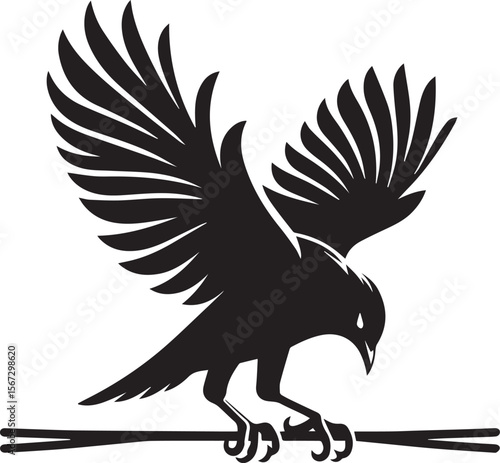 Vector bird myna silhouette illustration