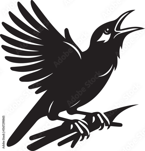 Vector bird myna silhouette illustration