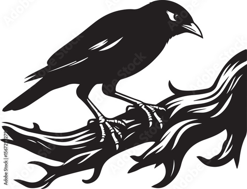 Vector bird myna silhouette illustration