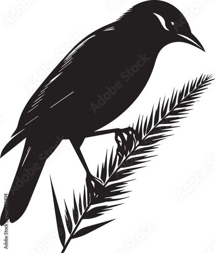 Vector bird myna silhouette illustration