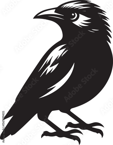 Vector bird myna silhouette illustration