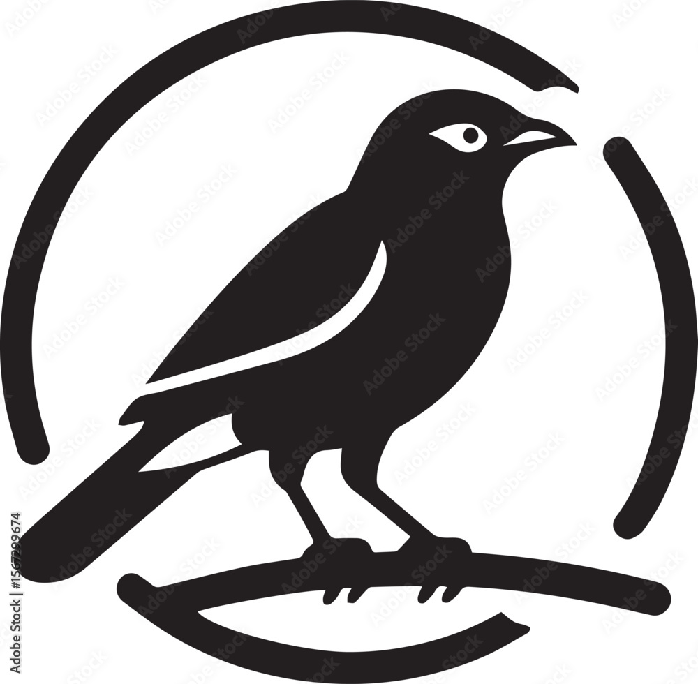 Fototapeta premium Vector bird myna silhouette illustration