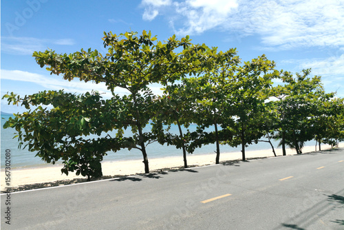 street background nature landscape and road sand beach