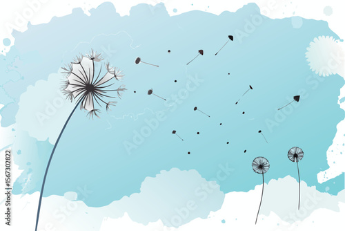 dandelion on blue background