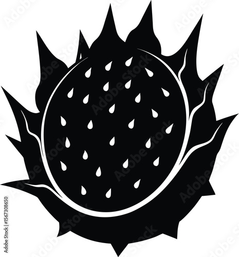 Vector Silhouette of Dragon Fruit Illustration