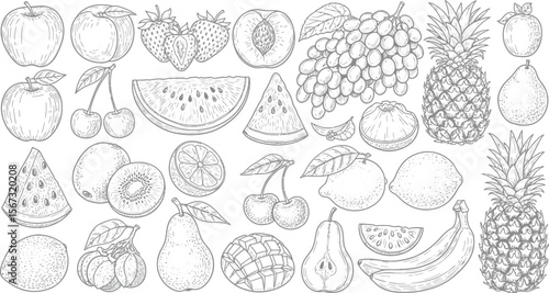 Collection of hand drawn fruits in black and white line art style