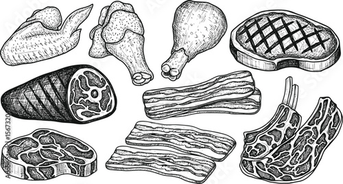 Collection of hand drawn meat cuts including chicken wings drumsticks bacon lamb chops and steaks