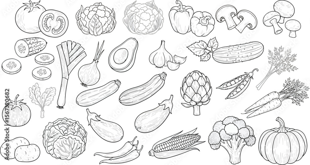 Collection of hand drawn line art vegetables and produce on a white background Collection of hand drawn line art vegetables and produce on a white background