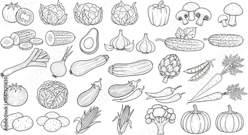 Collection of hand drawn line art vegetables and produce isolated on white background
