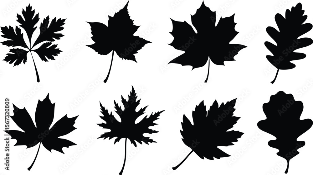 Fototapeta premium set of autumn leaves silhouette vector
