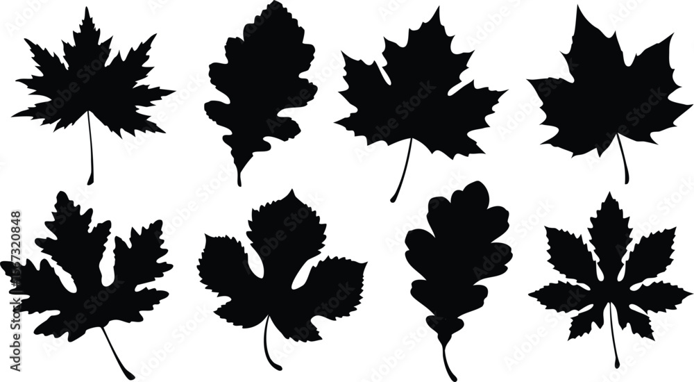 Fototapeta premium set of autumn leaves silhouette vector