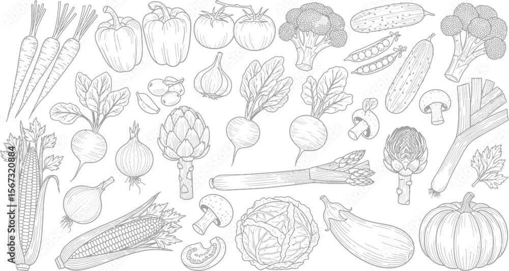 Collection of fresh vegetables in a charming black and white line drawing style Collection of fresh vegetables in a charming black and white line drawing style