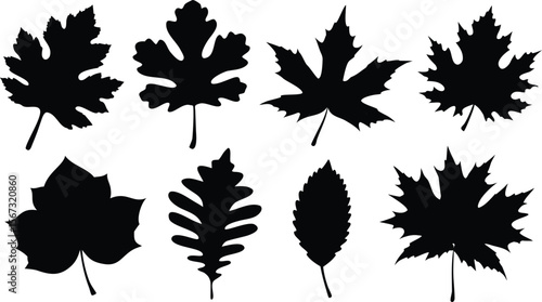 set of autumn leaves silhouette vector