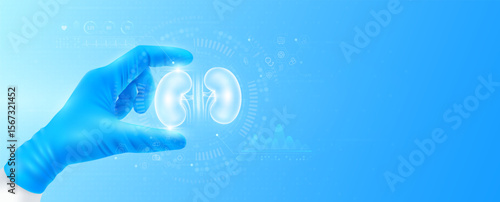 Doctor's hand in blue gloves holding virtual hologram kidney close up. Checks the result on interface analyzes data. Innovative technologies future medical health care. Banner vector.