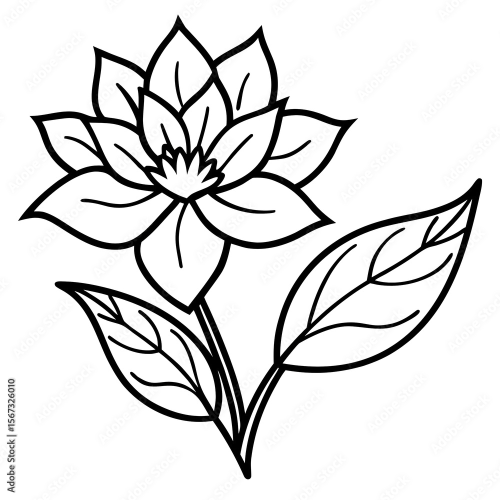 Fototapeta premium black and white flower