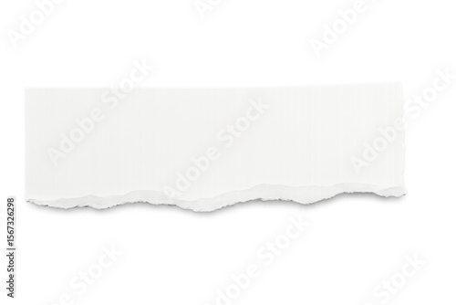 Wallpaper Mural Horizontal white ripped paper strip featuring jagged edges, creating empty space for graphic layout against transparent backdrop Torontodigital.ca