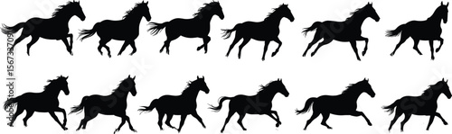 Running horse silhouettes vector, galloping horses in motion, wild mustang icons, black equine shapes, animal movement sequence, horse action illustration set flat vector illustration
