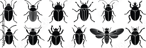 Set of black silhouette insect illustrations, beetles, bugs, cicada, various species, symmetrical vector designs, isolated on white background, entomology clipart flat vector illustration