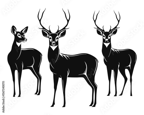 Elegant black outlines showcase a graceful roe deer in a naturalistic pose perfect for wildlife art nature themes and outdoor branding projects