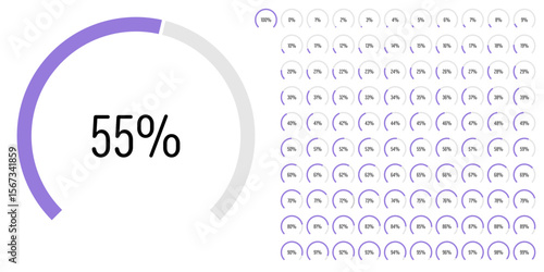 Set of circular sector arc percentage diagrams meters progress bar from 0 to 100 ready-to-use for web design, user interface UI or infographic - indicator with purple